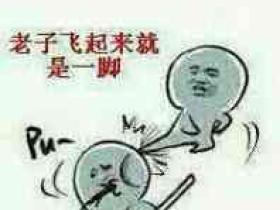 老子飞起来就是一脚,食屎啦你 老子Q过来就是一脚 以酷