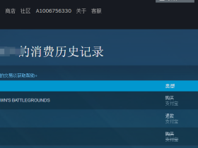 Steam消费记录如何查询?Steam一键查询全部消费记录方法