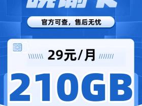 电信晓谕卡29元/月,210G大流量不限速,首冲100送话费享受优惠!