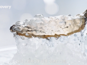 备孕调理全攻略:从饮食到生活习惯,你做对了吗?