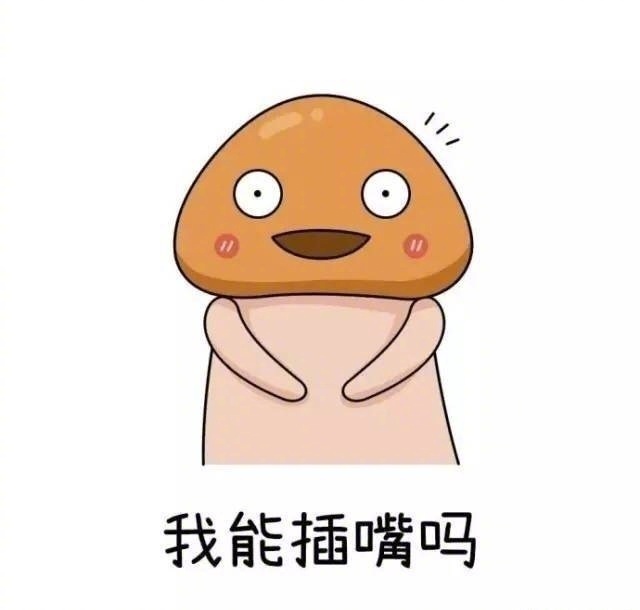 我能插嘴吗