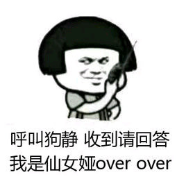 呼叫狗静，收到请回答，我是仙女娅 over over_over_狗静_仙女_呼叫_收到表情