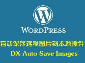 WordPress插件DX Auto Save Images自动保存远程图片到本地
