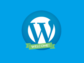 新手理解WordPress的基本指南要点