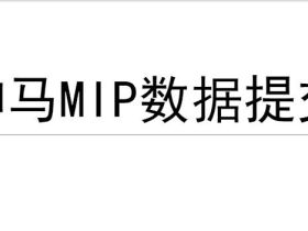 神马搜索引擎已支持MIP协议 Wordpress如何提交数据代码教程