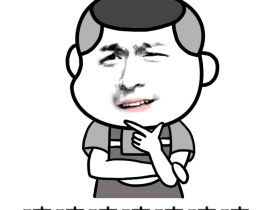 没图你说个JB（装逼）你盗得走爸爸图，但是你盗不走爸爸的气质！